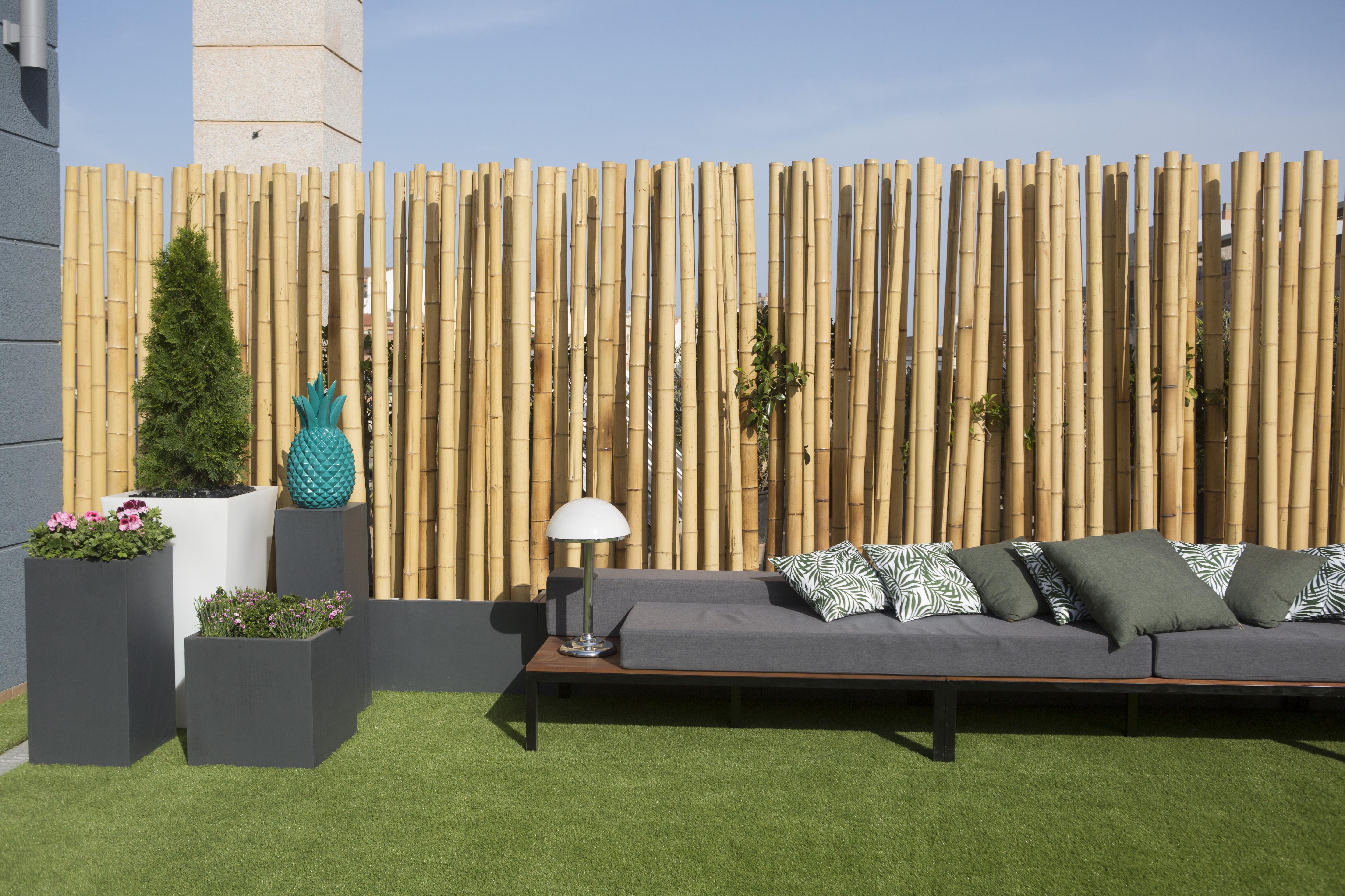 Sh Valencia Palace Exterior foto Bamboo screen